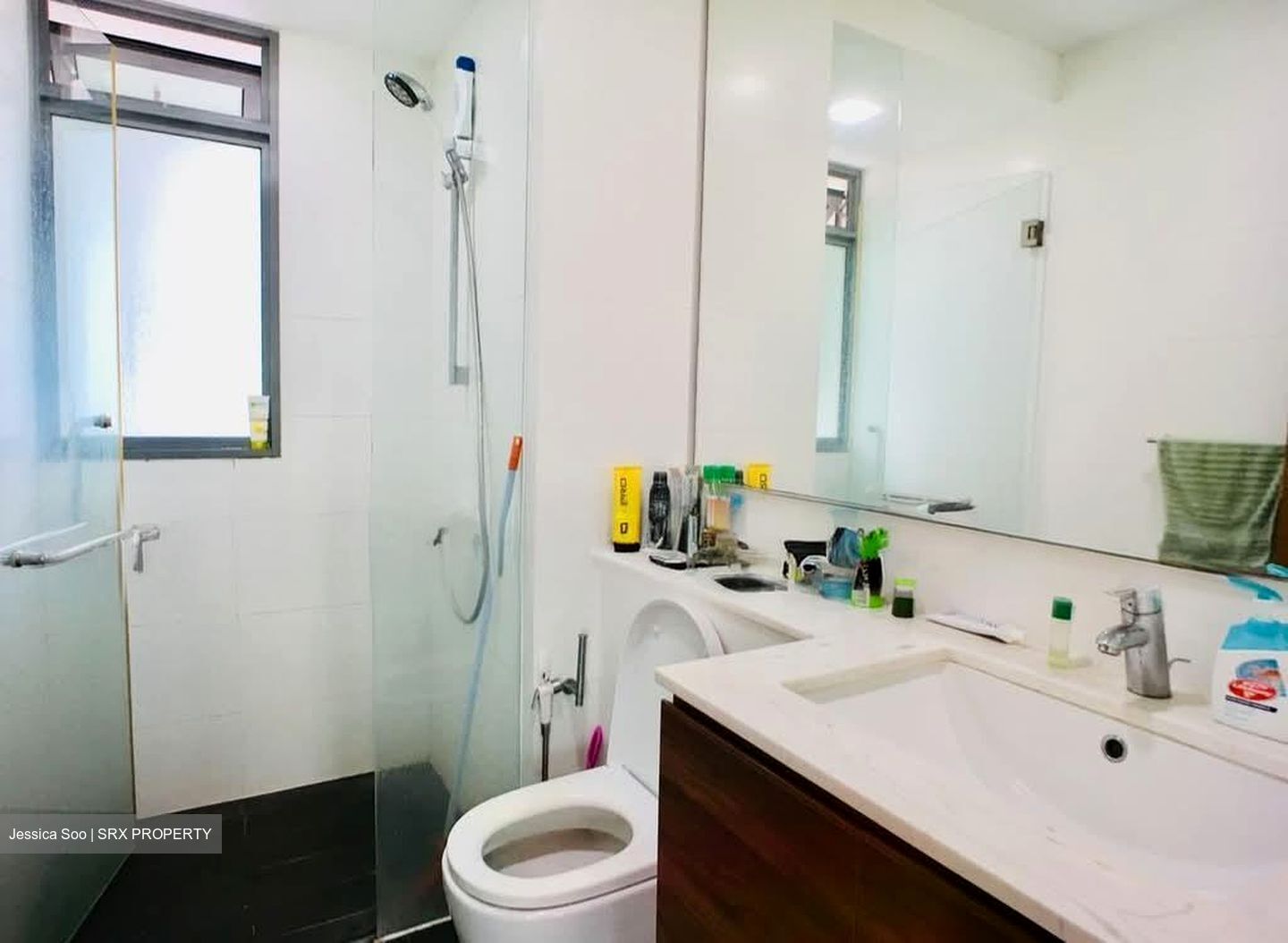 Double Bay Residences (D18), Condominium #584088811
